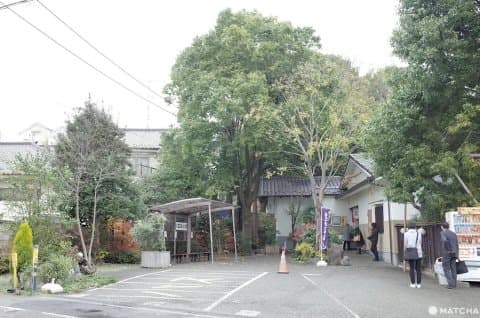 Yumori No Sato - Idillic Blackwater Hot Spring In Tokyo
