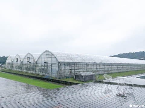 集美食與療癒於一身的AQUAIGNIS