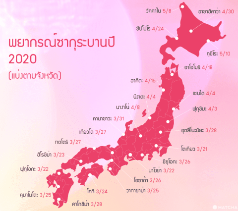 พยากรณ์ดอกซากุระบานปี 2020 บานเมื่อไหร่ และชมซากุระที่ไหนสวย มาดูกัน!