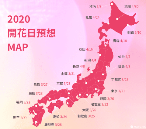 日本櫻花 2020