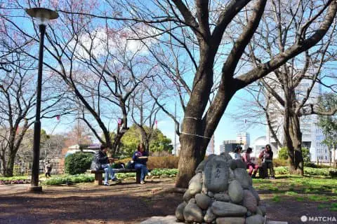 到 東京的綠洲 日本人不出遠門的療癒私房東京景點4選 Matcha 日本線上旅遊觀光雜誌 到 東京的綠洲 日本人不出遠門的療癒私房東京景點4選 Matcha 日本線上旅遊觀光雜誌