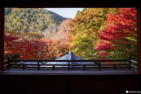京都「瑠璃光院」。日本画のように美しい紅葉を愛でる - 日本の観光