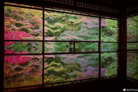 油絵・風景画　京都　瑠璃光院　紅葉 秋の京都「瑠璃光院」 紅葉の見頃・アクセス・ライトアップは
