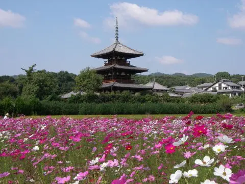 大阪から約40分。世界遺産・法隆寺の町「斑鳩町」の見どころ！ - 日本
