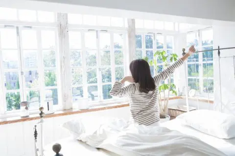 Excellent Japanese Pillows! 15 Quality Products on Sale