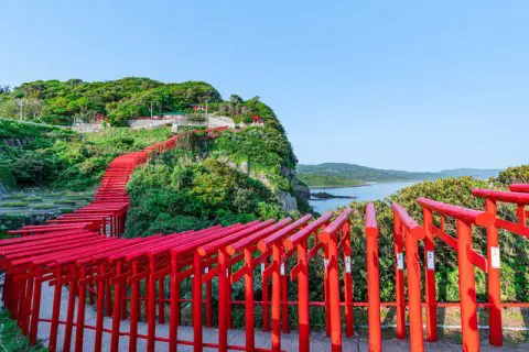 絶景】日本一賽銭を入れづらい神社、山口「元乃隅神社」 - 日本の観光