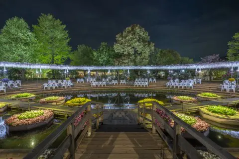 花畑の中の楽園 花畑の中の楽園 / Paradise in a Flower Field その他