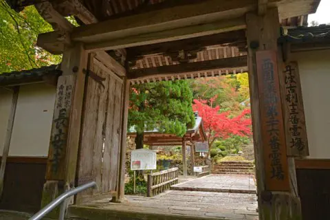 箱根の秋の2大スポット「長安寺」と「仙石高原」 - 日本の観光メディア