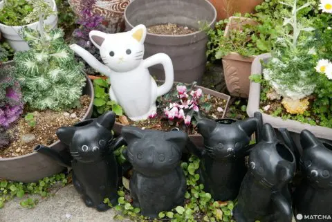 招き猫」のふるさと 浅草「今戸神社」で縁結びをお祈り！ - 日本の観光