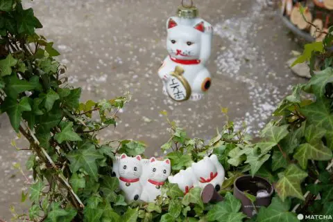 招き猫」のふるさと 浅草「今戸神社」で縁結びをお祈り！ - 日本の観光