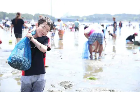 SUMMER】A Summer Event ”Clam Digging” at Futtsu Beach - Japan