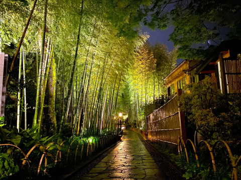 Four scenic spots in Nishiizu! Exquisite scenery carefully
