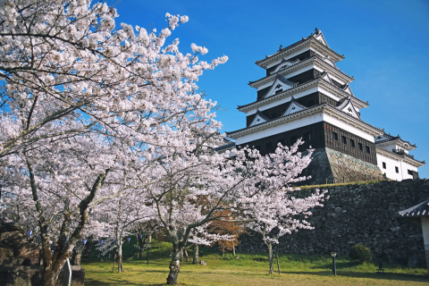 愛媛県　大洲町　大洲　大洲城山公園　大洲神社　大洲町雪ノ桝形　絵葉書　9枚 愛媛県 大洲町 大洲 大洲城山公園 大洲神社 大洲町雪ノ桝形 絵葉書