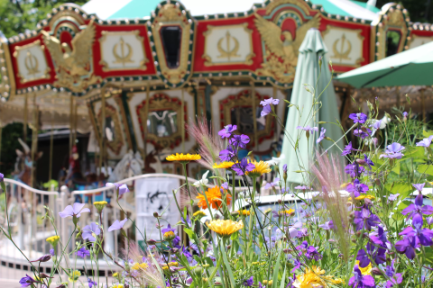 八ヶ岳南麓・清里 森の中に佇む萌木の村 個性的なショップやレストラン