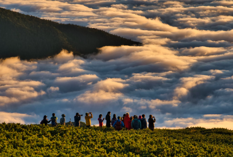 Enter the world at an altitude of 3,026m - the charm of Mount