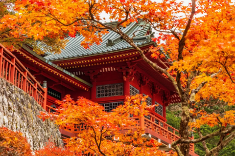 Nikko Fall Foliage 2025: 12 Sites With Breathtaking Scenery
