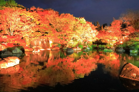 好古園池泉回遊式庭園與紅葉