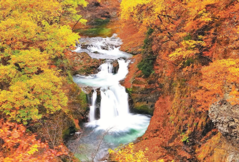 2024年版】これぞ日本の紅葉！秋に行きたい秘密の紅葉スポット - 日本