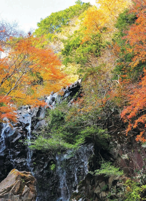 2024年版】これぞ日本の紅葉！秋に行きたい秘密の紅葉スポット - 日本