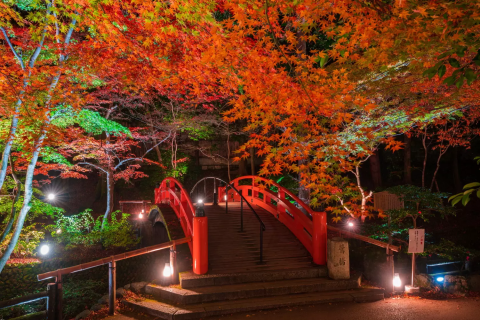 北野天滿宮御土居楓葉苑
