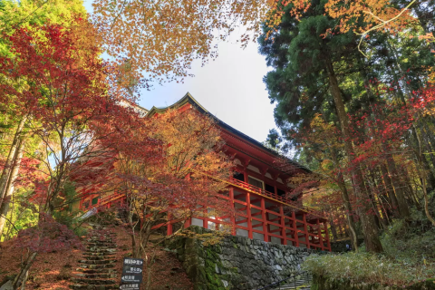 比叡山延曆寺境內與紅葉