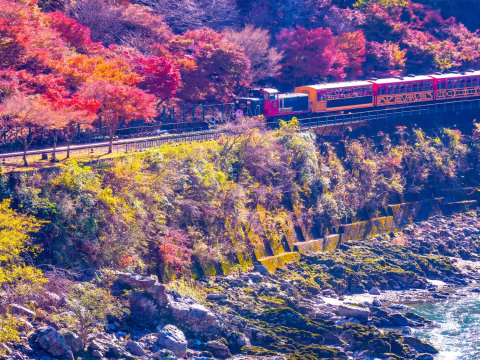 穿梭保津峽紅葉的嵯峨野小火車