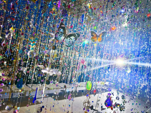 Art Event in Kyoto 2025: Mika Ninagawa's Exhibition at Kyocera