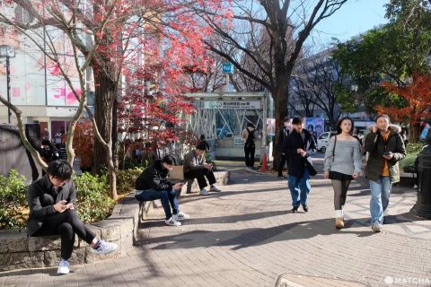 街かど庭園
