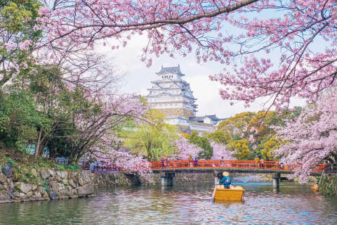 人気No.1 米絵 ベトナム 城 桜 姫路城 風景画 日本画 ライス