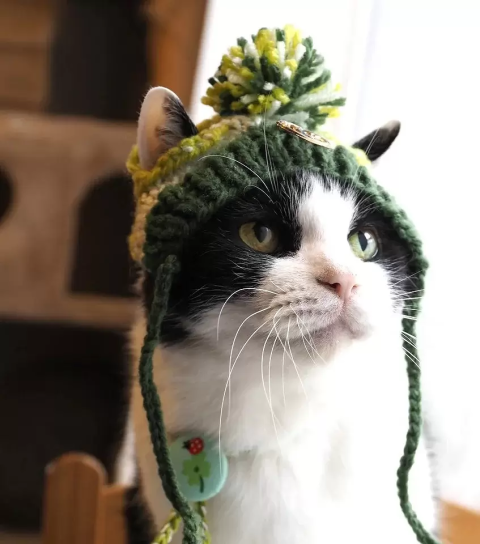 Osaka's Cat Craze: Nyan Neko Expo 2025 Showcases Art, Crafts, and