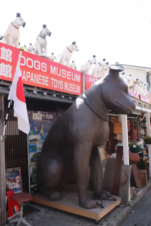 A unique spot in Kurashiki Bikan Historical Quarter! Nipper dogs