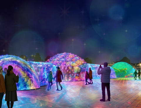 Laguna Ten Bosch: Winter Illuminations, Fireworks and More - Japan