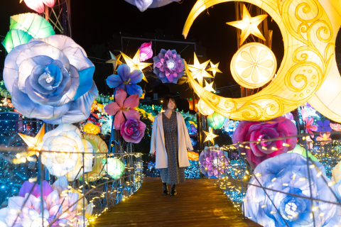 The Illuminated Park　閃光の庭　なかにしけふこ The Illuminated Park 閃光の庭 なかにしけふこ