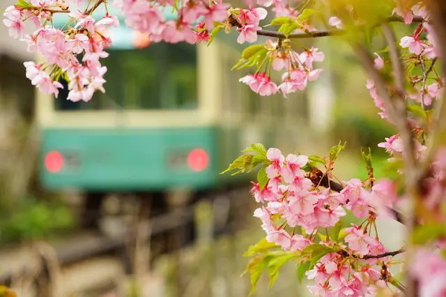 鎌倉完全ガイド！観光スポット20選、カフェ、グルメ、イベント、移動手段など