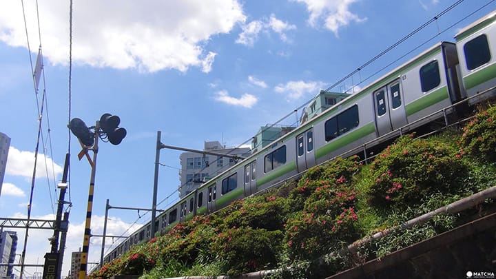 搭上山手線一圈玩遍東京!各站特徵與推薦景點