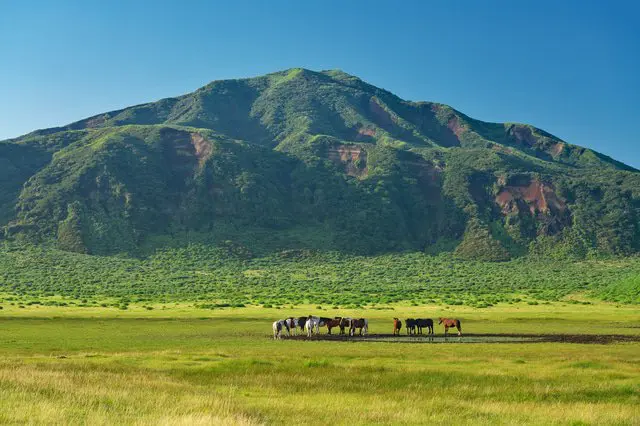 熊本攻略。交通、27个推荐观光景点、美食、祭典