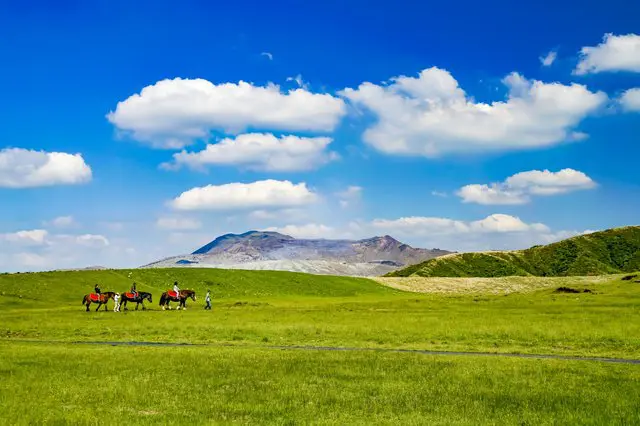 熊本攻略。交通、27个推荐观光景点、美食、祭典