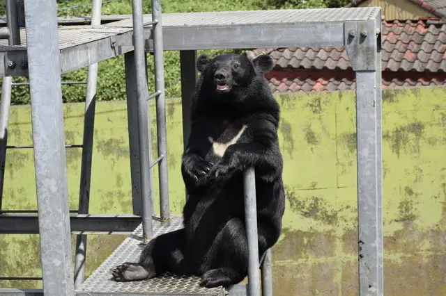 熊本攻略。交通、27个推荐观光景点、美食、祭典