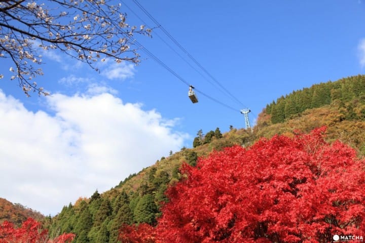 【世界も認める絶景】別府ロープウェイで空中散歩を楽しもう!