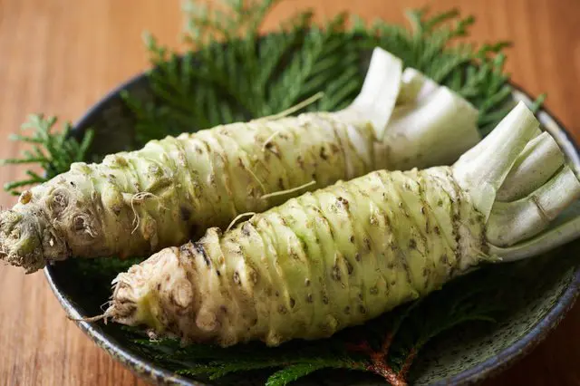 [ล่าสุดปี 2024]ถ้าไปจังหวัดนากาโน่จะแนะนำที่ไหน? ที่เที่ยวตามพื้นที่ทั้งหมด 22 แห่งและสกีรีสอร์ท 6 แห่ง