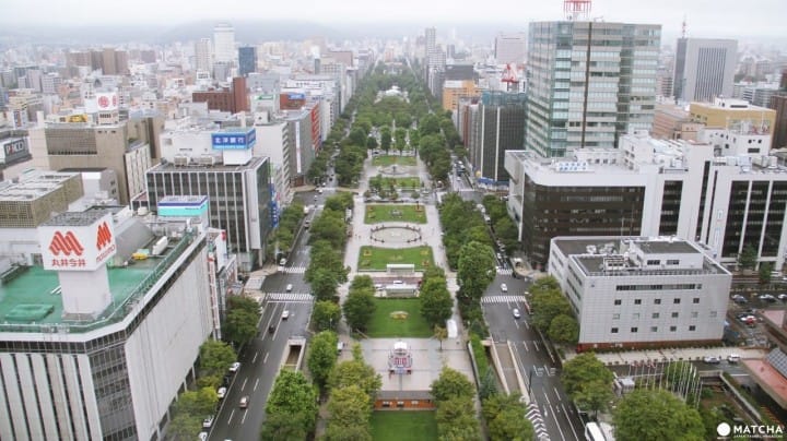 Segalanya Tentang Sapporo! Spot Wisata, Transportasi, Kuliner, dan Oleh-Oleh