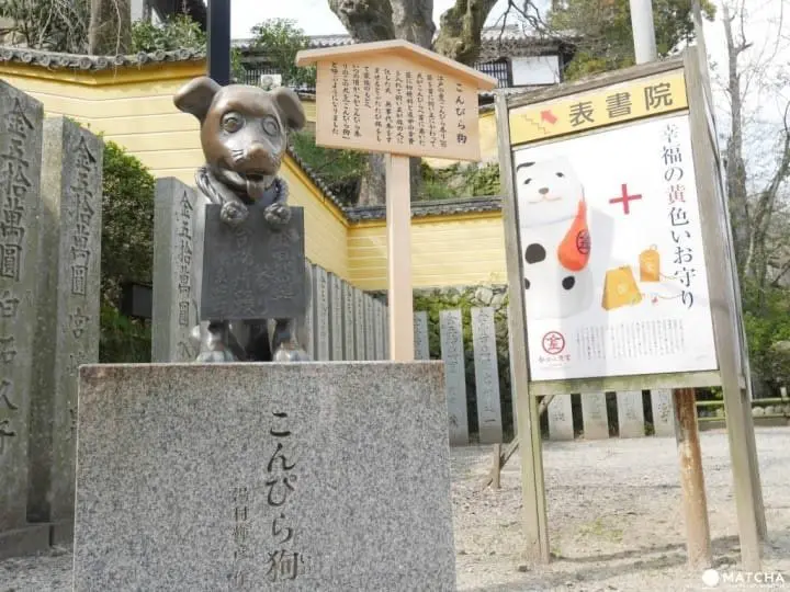 ต้องมาเยือนให้ได้สักครั้งในชีวิต! “ศาลเจ้าโคโตฮิรางู” จ.คากาวะ