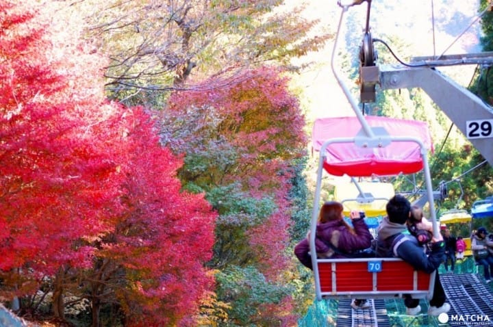 5 แหล่งชมใบไม้เปลี่ยนสีในคันโต (โอคุทามะ,ภูเขาทาคาโอะ,สวนซังเคเอ็น,หุบเขานากาสึ)