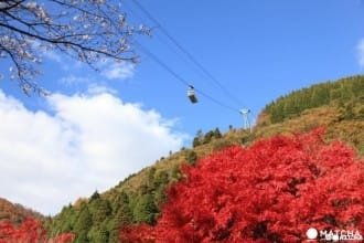 【世界絶景】搭乘別府纜車 來趟空中散步!