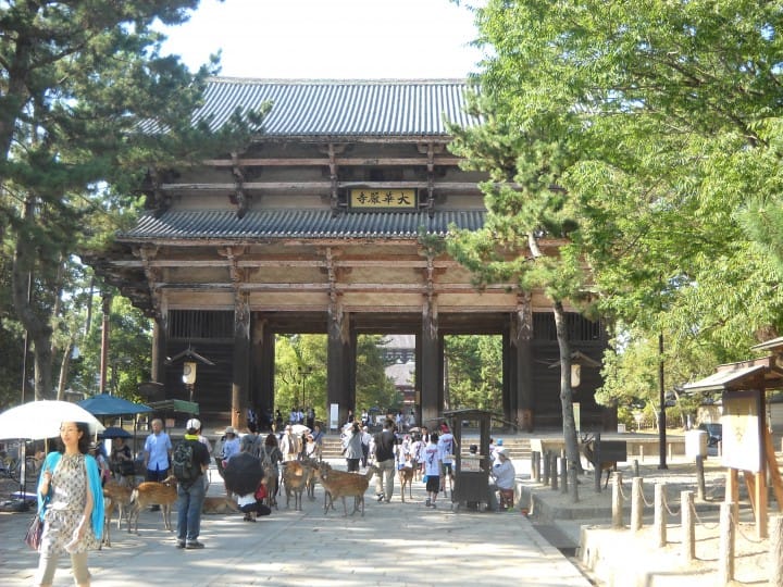 奈良县旅游观光指南。交通、景点到购物伴手礼,抹茶一次告诉你