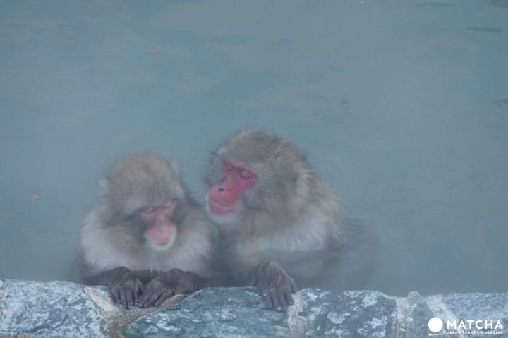 10 แหล่งท่องเที่ยวแนะนำในฮาโกดาเตะ (Hakodate) ฮอกไกโด (Hokkaido)
