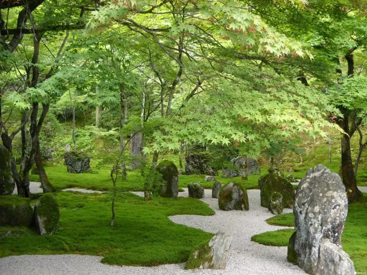 Guía de Viaje de Fukuoka – ¡Visita una de las ciudades más vibrantes de Japón!