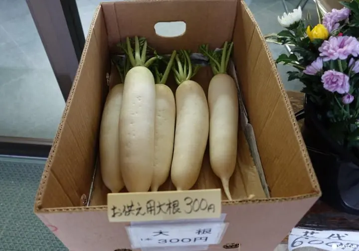 상징이 무?! 아사쿠사의 숨겨진 영엄한 장소「마츠치야마 쇼덴(待乳山聖天)」