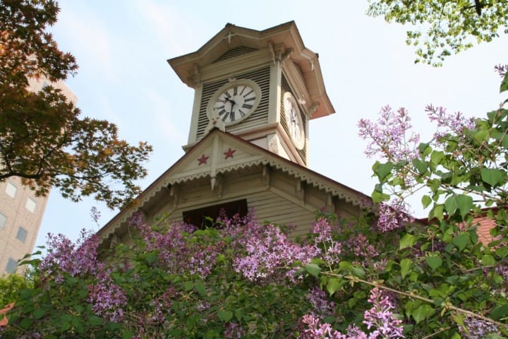 Explore Sapporo in Two Days with This Model Itinerary!