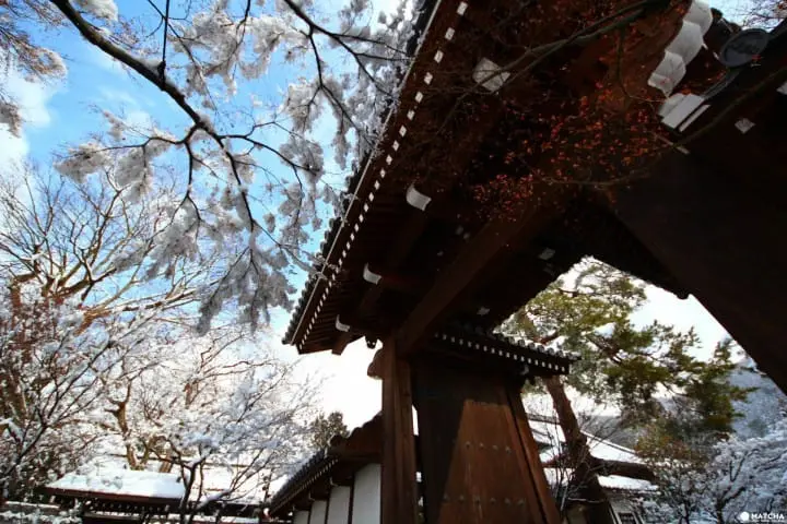 【日本旅游必读】一年四季！关于东京气温与服装的温馨提示